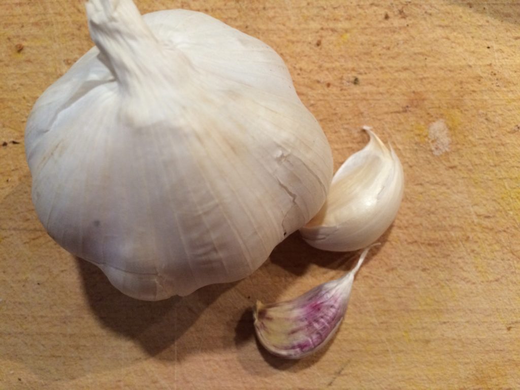Knoblauch das Multitalent für unser Wohlbefinden