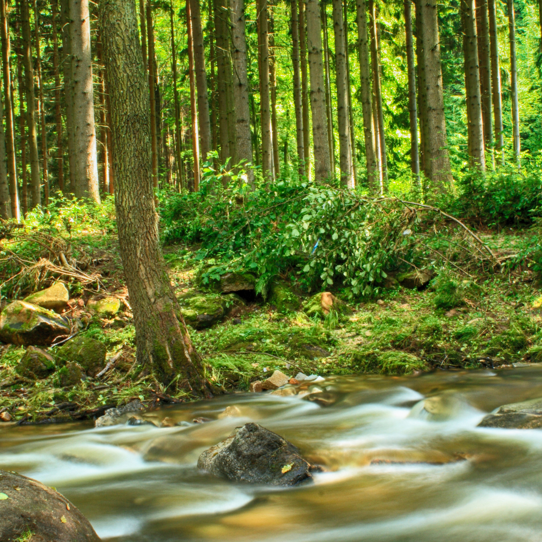 hexagonales Wasser Natur