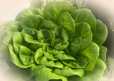 Salat